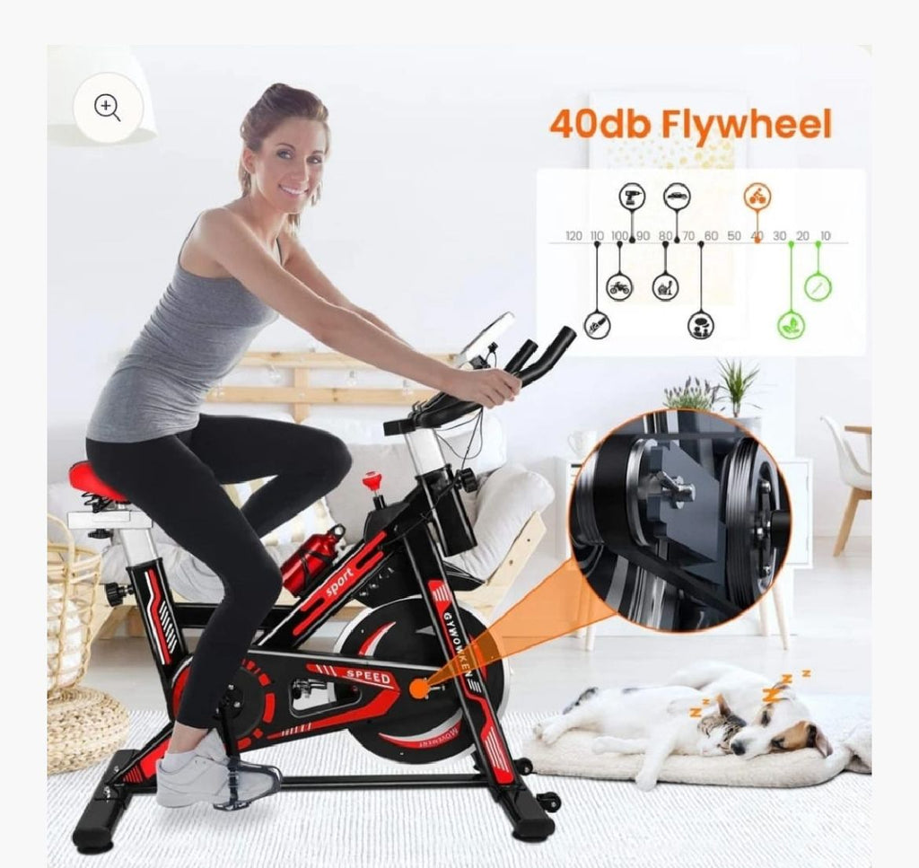 EXERCISE SPIN BIKE.